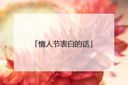 情人节表白的话