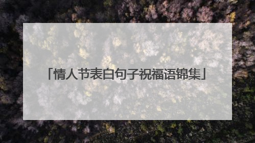 情人节表白句子祝福语锦集