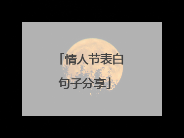 情人节表白句子分享
