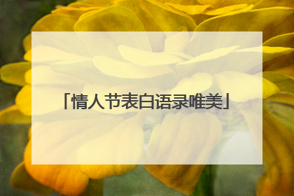 情人节表白语录唯美