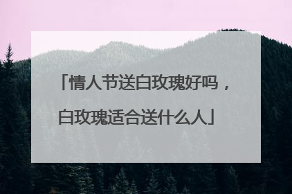 情人节送白玫瑰好吗,白玫瑰适合送什么人