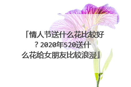 情人节送什么花比较好？2020年520送什么花给女朋友比较浪漫