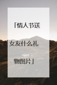 情人节送女友什么礼物图片