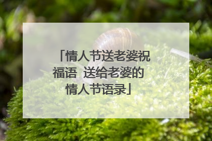 情人节送老婆祝福语 送给老婆的情人节语录