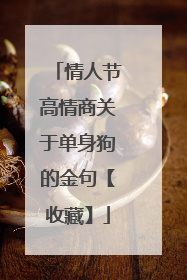 情人节高情商关于单身狗的金句【收藏】