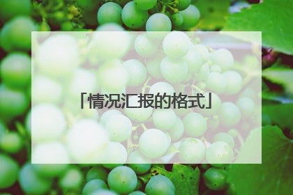 情况汇报的格式