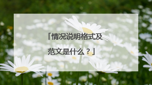 情况说明格式及范文是什么？