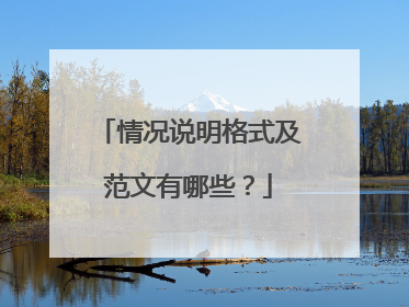 情况说明格式及范文有哪些？