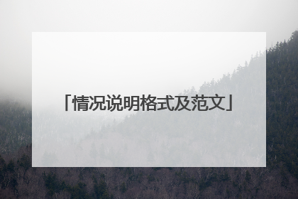 情况说明格式及范文