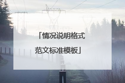 情况说明格式范文标准模板