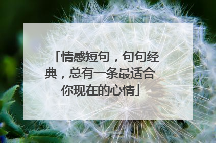 情感短句,句句经典,总有一条最适合你现在的心情
