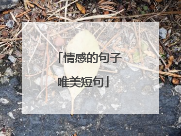 情感的句子唯美短句