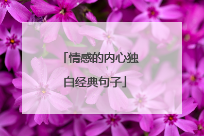 情感的内心独白经典句子
