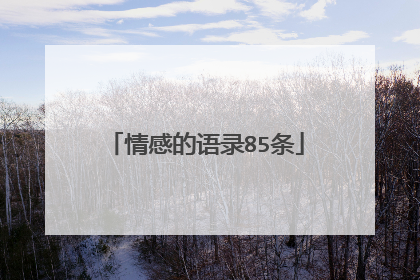 情感的语录85条