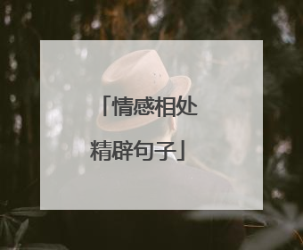 情感相处精辟句子