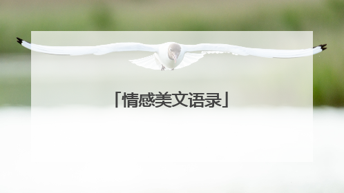 情感美文语录