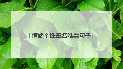 情感个性签名唯美句子