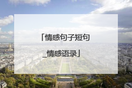 情感句子短句_情感语录