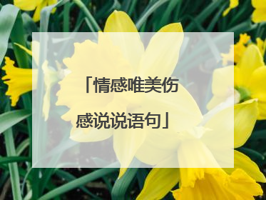 情感唯美伤感说说语句