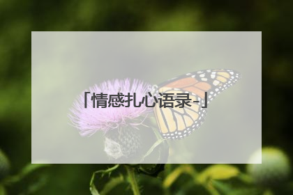 情感扎心语录-