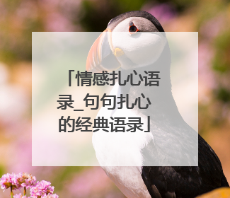情感扎心语录_句句扎心的经典语录