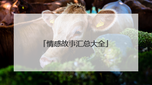 情感故事汇总大全