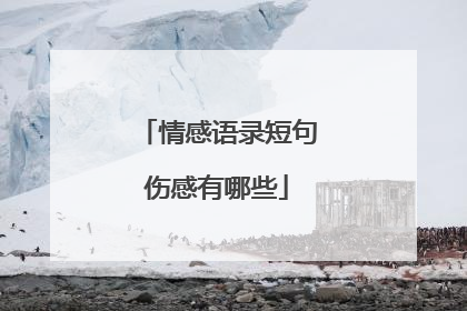 情感语录短句伤感有哪些