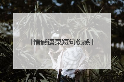 情感语录短句伤感