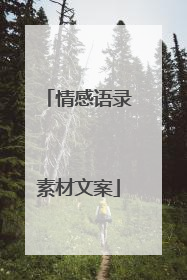 情感语录素材文案