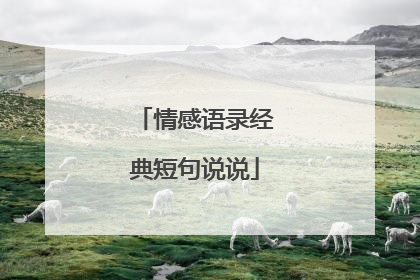 情感语录经典短句说说