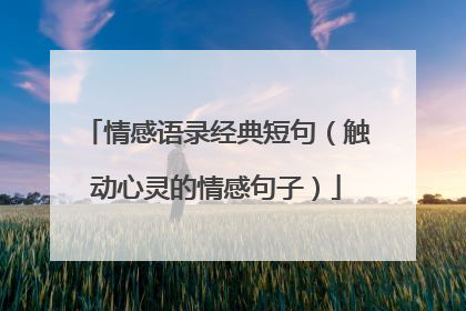 情感语录经典短句(触动心灵的情感句子)