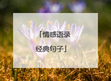 情感语录经典句子