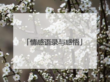 情感语录与感悟