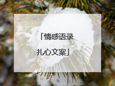情感语录扎心文案