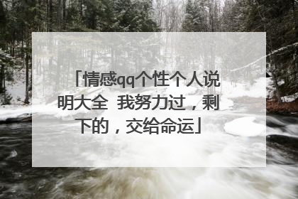 情感qq个性个人说明大全 我努力过,剩下的,交给命运