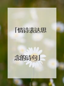 情诗表达思念的诗句