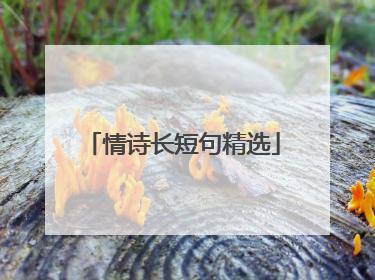 情诗长短句精选