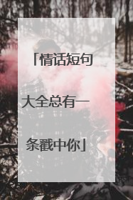 情话短句大全总有一条戳中你