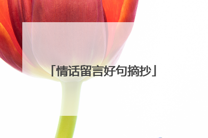 情话留言好句摘抄