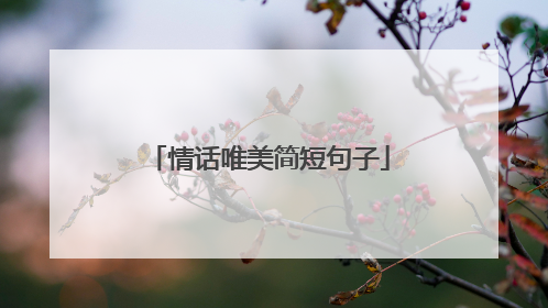 情话唯美简短句子
