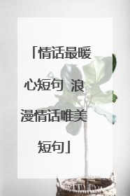 情话最暖心短句 浪漫情话唯美短句