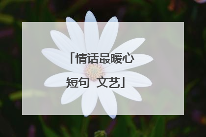 情话最暖心短句 文艺