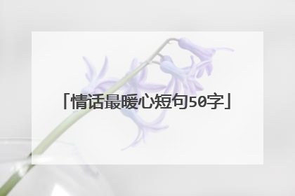 情话最暖心短句50字