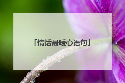 情话最暖心语句