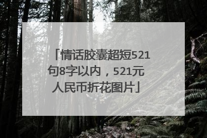 情话胶囊超短521句8字以内，521元人民币折花图片