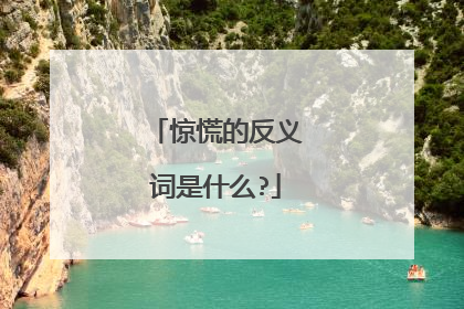 惊慌的反义词是什么?