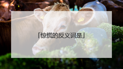 惊慌的反义词是