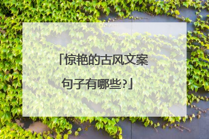 惊艳的古风文案句子有哪些?
