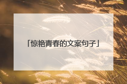 惊艳青春的文案句子