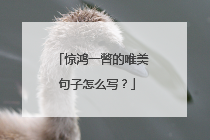 惊鸿一瞥的唯美句子怎么写？